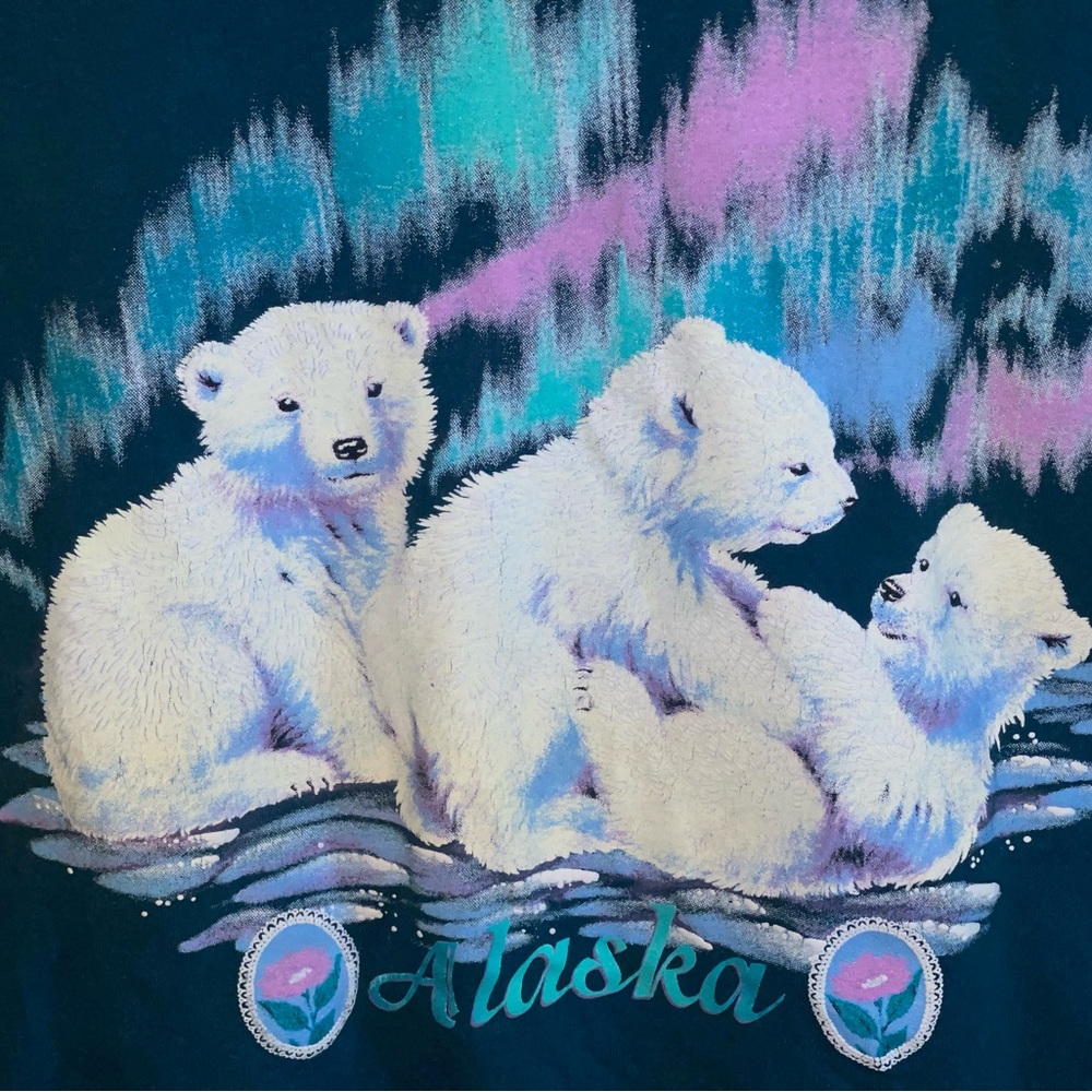 VTG Made In USA Alaska T-Shirt Size XL - Picture 2 of 5